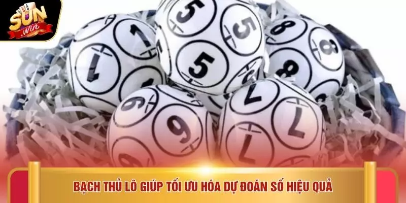 Bạch thủ lô giúp tối ưu hóa dự đoán số hiệu quả