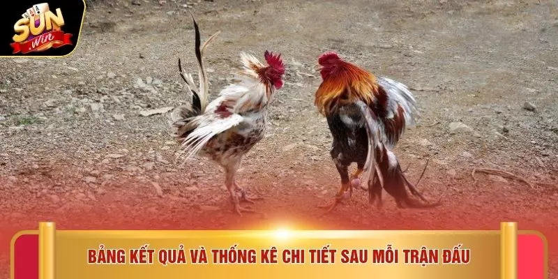 Bảng kết quả và thống kê chi tiết sau mỗi trận đấu