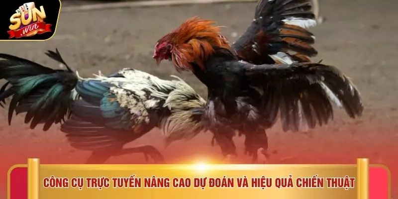 Công cụ trực tuyến nâng cao dự đoán và hiệu quả chiến thuật