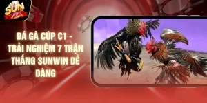 Đá Gà Cúp C1 - Trải Nghiệm 7 Trận Thắng SUNWIN Dễ Dàng