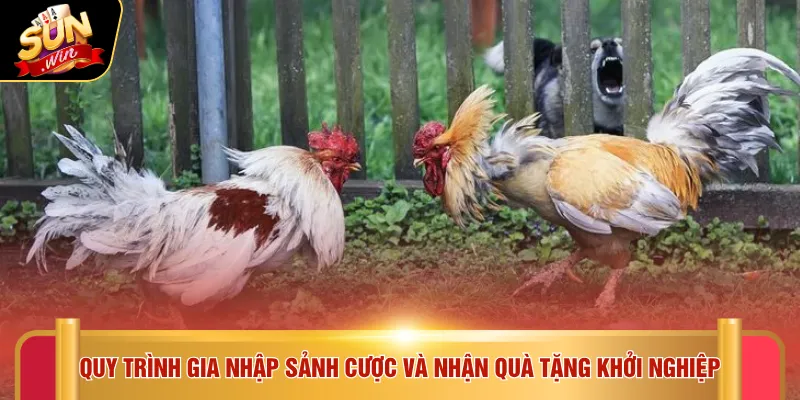 Quy trình gia nhập sảnh cược và nhận quà tặng khởi nghiệp