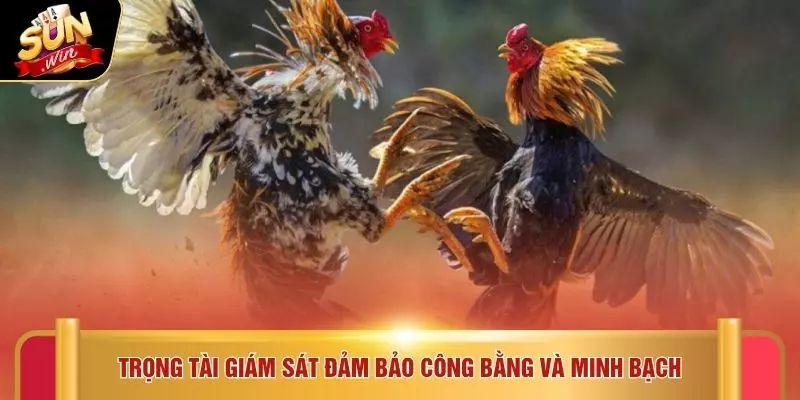 Trọng tài giám sát đảm bảo công bằng và minh bạch